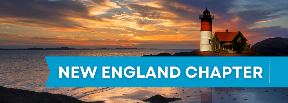 NEW ENGLAND CHAPTER visual data 8